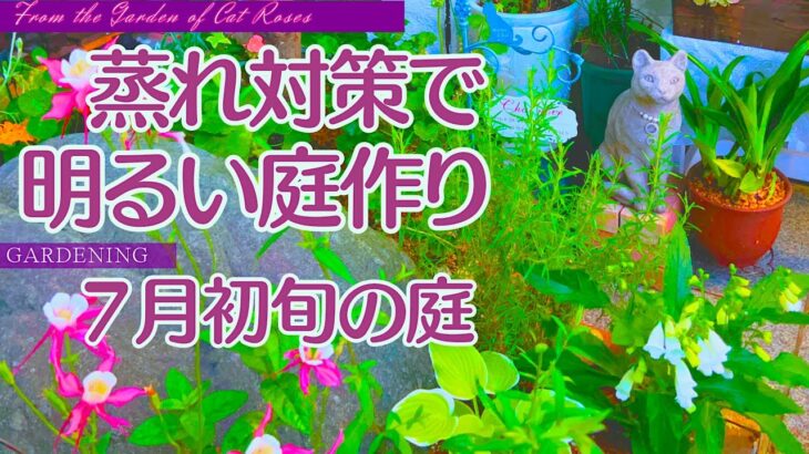 【ガーデニング】　７月初旬の庭作業・蒸れ対策でスッキリ庭