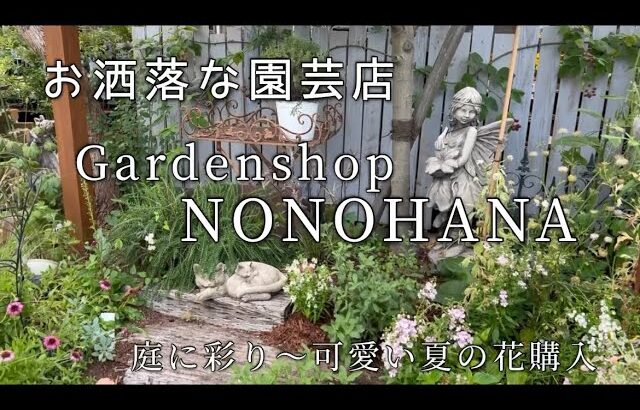 『ガーデニング』お洒落な園芸店❣️に行って夏の花買って来たよ🌸