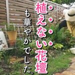 【ガーデニング】暗い花壇にまさかの来客🐀…蒸れにくく管理しやすい庭を目指してプチリメイク｜夏庭づくり｜小さな庭のガーデニング