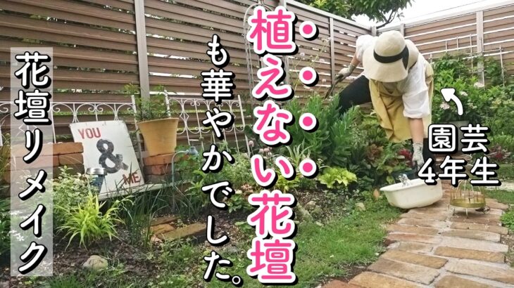 【ガーデニング】暗い花壇にまさかの来客🐀…蒸れにくく管理しやすい庭を目指してプチリメイク｜夏庭づくり｜小さな庭のガーデニング