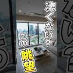 凄くない？この眺望【タワマン26階】 #タワーマンション #ルームツアー #東京 #港区  #不動産 #内見 #tokyo #apartment #roomtour  #内見ツアー #shorts