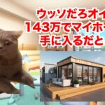 【コンテナハウス】激狭物件のリアルな実態！？143万円で買える悪夢のマイホーム #猫マニ #猫ミーム