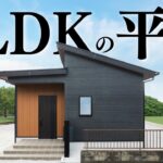 【平屋 ルームツアー】初公開！１LDK自分だけの平屋｜23坪｜1LDK西入り【平屋専門店】