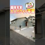 【平屋ルームツアー】トイレ２個＋夫婦暮らし＋猫好きの趣味平屋！ #shorts