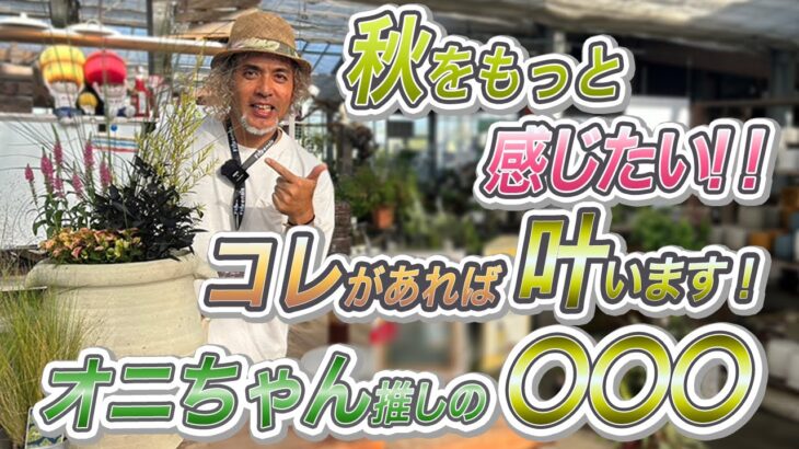 注目の植物！秋のおしゃれなガーデニング(園芸)には お花もいいけど やっぱりグラス！で秋感たっぷり寄せ植え♫