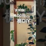 100均DIY 壁に棚作ったよ♡ #観葉植物のある暮らし  #セリア購入品 #インテリア #100均diy