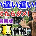 【少ない！速い！もう終わり】この秋買えない物がたくさん出そうです。。。　                  【カーメン君】【園芸】【ガーデニング】【初心者】