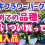 【ガーデニング】11月下旬の購入苗紹介！冬庭をオシャレに飾る花！オザキフラワーパークさんでついつい多めに購入！あしかがフラワーパーク・中之条ガーデンズ・Gardening