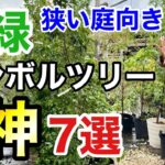 【意外と知らない】コンパクトな庭におすすめな常緑シンボルツリー　7選　　　　　【カーメン君】【園芸】【ガーデニング】【初心者】