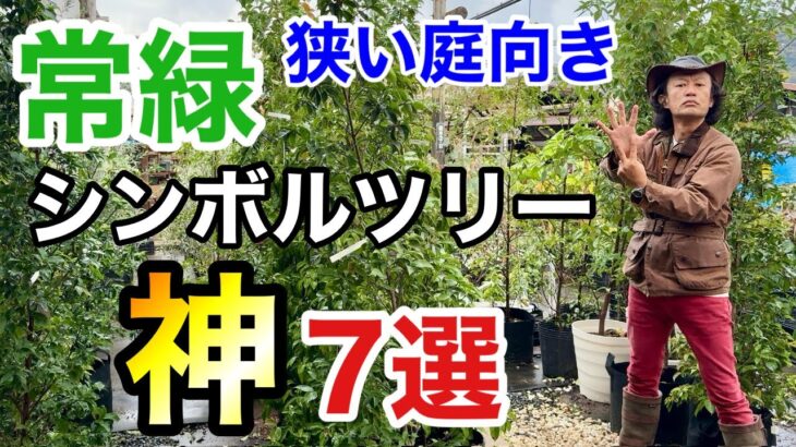 【意外と知らない】コンパクトな庭におすすめな常緑シンボルツリー　7選　　　　　【カーメン君】【園芸】【ガーデニング】【初心者】