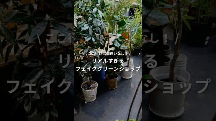 【おすすめフェイクグリーンショップ】 #eastsidetokyo #フェイクグリーン #造花 #観葉植物 #インテリアグリーン #ドライフラワー