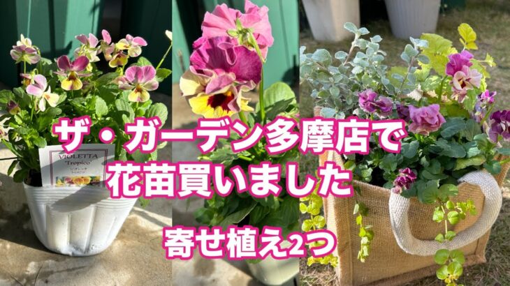 【ガーデニング】お気に入り園芸店ザ・ガーデンで秋冬の花苗購入🌱寄せ植え作り