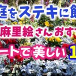 【ガーデニング】冬庭で活躍するキュートで美しい花！天野麻里絵さん・上田広樹さんおすすめ12選の紹介！ガーデニングミュージアム花遊庭【愛知県豊田市】園芸店ロベリア【大阪府堺市】・gardening