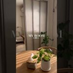 2人暮らしのルームツアー🪴#ルームツアー #二人暮らし #賃貸