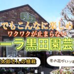 冬も楽しい‼︎フローラ黒田園芸さんに行ってきました！