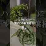 【ハンギンググリーン】吊ってもおしゃれなおすすめ観葉植物5選  #shorts  #ハンギングプランツ  #インテリアグリーン