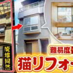 【狭小住宅ルームツアー】廃墟同然の中古物件を劇的リフォーム！テレビで紹介された噂の猫ハウスに潜入調査