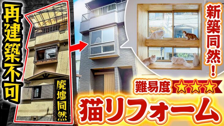 【狭小住宅ルームツアー】廃墟同然の中古物件を劇的リフォーム！テレビで紹介された噂の猫ハウスに潜入調査