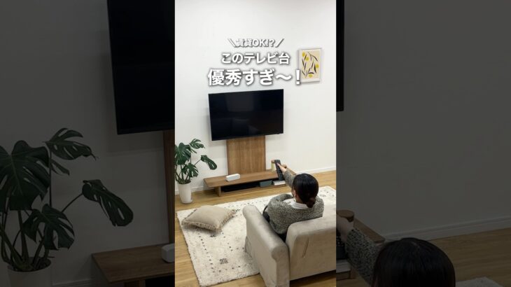 お部屋スッキリ✨LOWYAの壁掛けTV台 #shorts