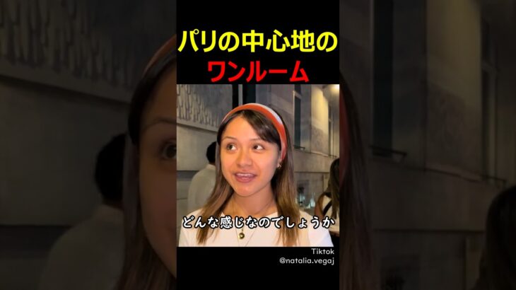 パリの中心地のワンルーム