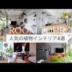 人気の植物ルームツアー４選！育てやすい観葉植物とお洒落なインテリアを紹介🌿