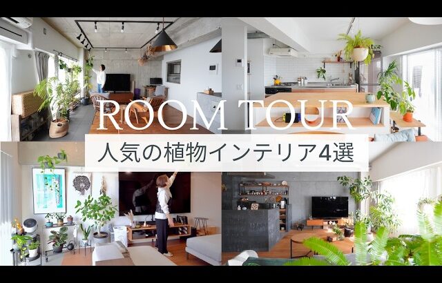 人気の植物ルームツアー４選！育てやすい観葉植物とお洒落なインテリアを紹介🌿