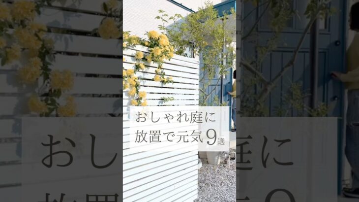 【ズボラでもおしゃれなお庭に🪴】　　#家づくり #外構　#ガーデニング
