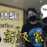 【切り抜き】高級家具の世界に大興奮！初めて入ったけど最高すぎた