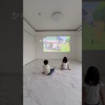 【ミニマリスト】新居を初公開！ルームツアー