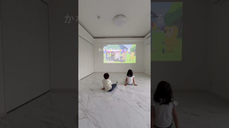 【ミニマリスト】新居を初公開！ルームツアー