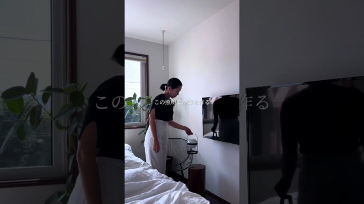 これで垢抜け　#観葉植物　#インテリアグリーン　#インテリア雑貨　#エバーフレッシュ