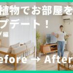 リビングの観葉植物レイアウト実例｜プロが教える垢抜けグリーンインテリア🌿