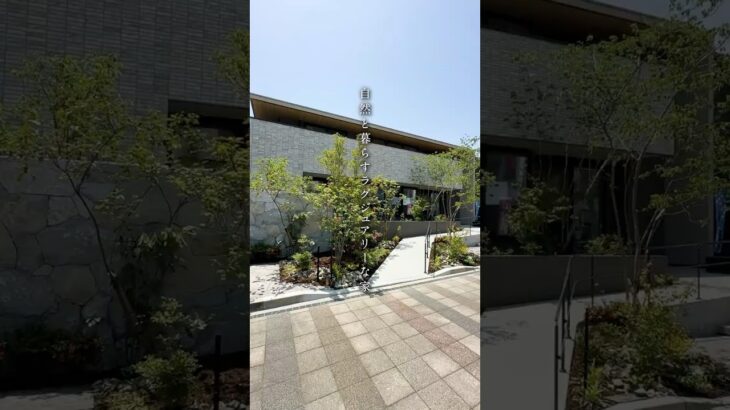 【間取り付きルームツアー】2025年4月OPEN！自然と暮らすラグジュアリーな家　＃住友林業　#注文住宅　#間取り