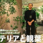 【カリモク家具】インテリアと観葉植物｜インドアグリーンショップが新オープン in新横浜ショールーム