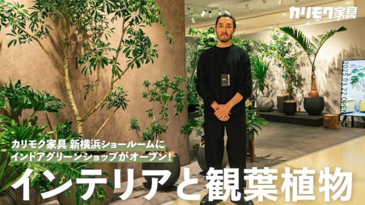 【カリモク家具】インテリアと観葉植物|インドアグリーンショップが新オープン in新横浜ショールーム