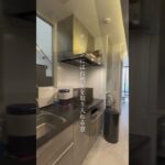 15坪の狭小地【都市に棲む家】ルームツアー動画　#shorts #狭小地 #ルームツアー #3階建て #モルタル