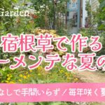 【ガーデニング＊ローメンテナンスな宿根草ガーデン🌻】購入苗の紹介と真夏も美しい花で華やぐおしゃれな庭づくり