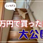 【ルームツアー】＋リフォーム代200万 まぁまぁの車より安いお家 Before After あり