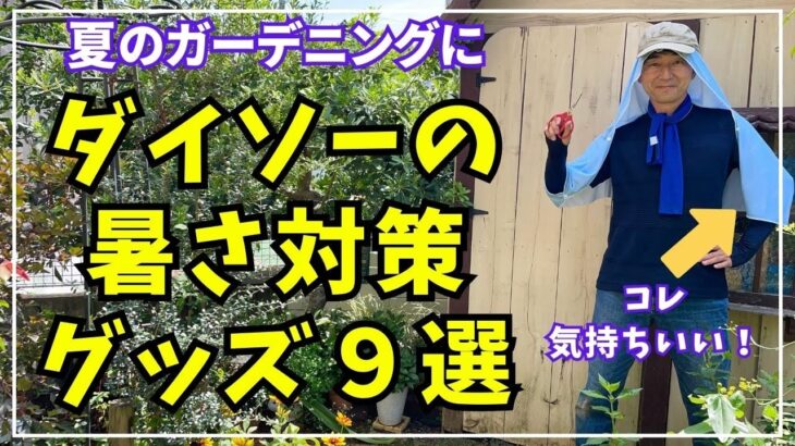 夏のガーデニングに使えるダイソーで購入した暑さ対策グッズを9種類ご紹介します。