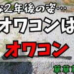 【DIY女子】オワコン施工から2年！耐久性と防草効果を検証！！【マイホーム】【外構】【コンクリート】