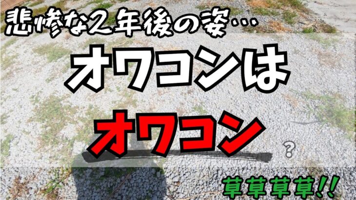 【DIY女子】オワコン施工から2年！耐久性と防草効果を検証！！【マイホーム】【外構】【コンクリート】