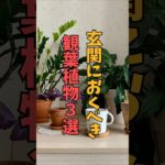 【風水】玄関におくべき観葉植物３選【簡単】