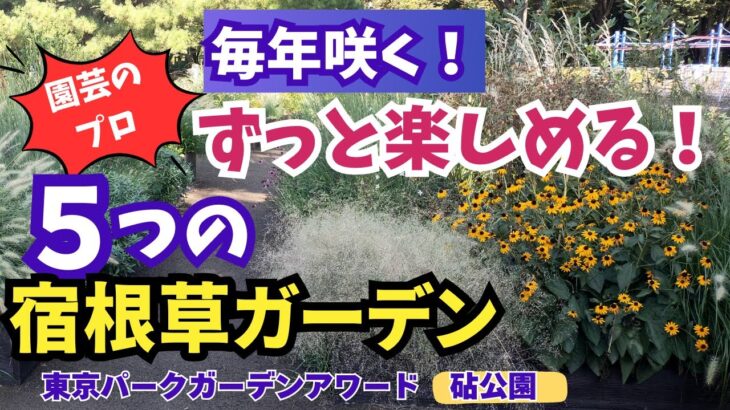 【ガーデニング】毎年楽しめる！手間いらずで華やか！園芸のプロ厳選の５つの宿根草ガーデンの紹介！東京パークガーデンアワード・都立砧公園！