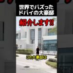 世界でバズったドバイの大豪邸