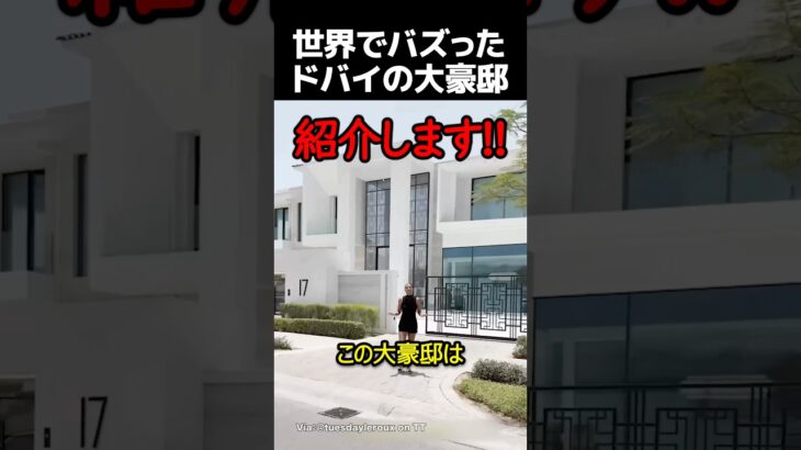 世界でバズったドバイの大豪邸