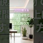 プロが教える 観葉植物で空間を格上げする飾り方　 #インテリア #マイホーム #新築  #家づくり  #一戸建て #注文住宅 #インテリアコーディネーター