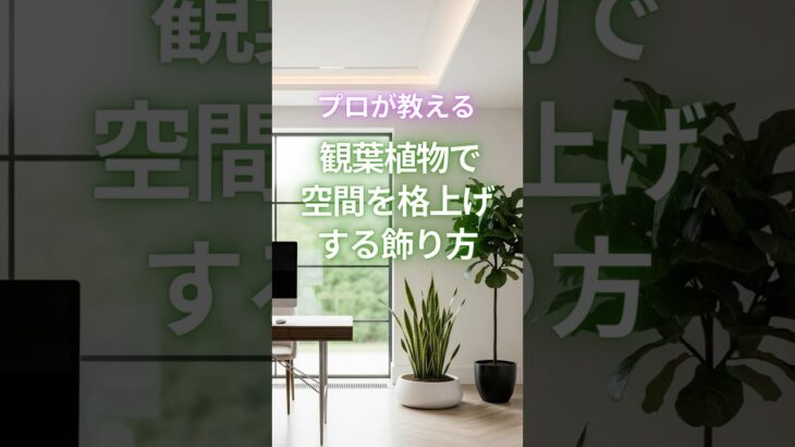 プロが教える 観葉植物で空間を格上げする飾り方　 #インテリア #マイホーム #新築  #家づくり  #一戸建て #注文住宅 #インテリアコーディネーター