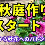 【夏の庭→秋の庭へ】秋に咲かせる切り戻しと植え付け等。１０月に花一杯のガーデンにする為の庭作業動画です。