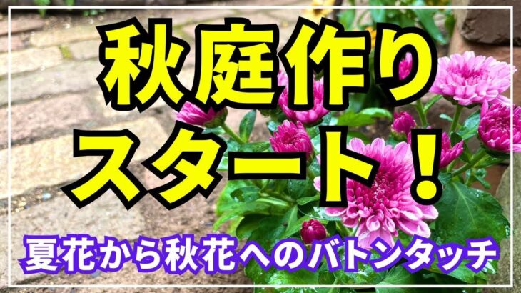 【夏の庭→秋の庭へ】秋に咲かせる切り戻しと植え付け等。１０月に花一杯のガーデンにする為の庭作業動画です。