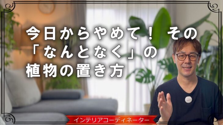 大人の品格が台無し…ダサ見えな観葉植物の置き方13選